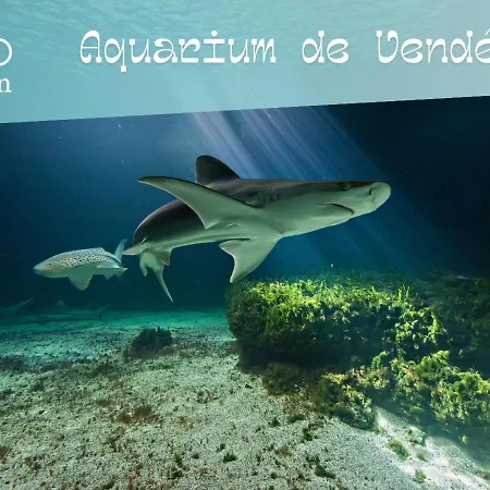 Charmante Maison De Avec Acces Piscine Feriehus Talmont-Saint-Hilaire