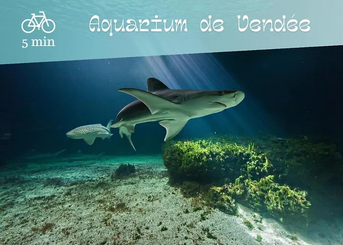 Charmante Maison De Avec Acces Piscine בית נופש Talmont-Saint-Hilaire